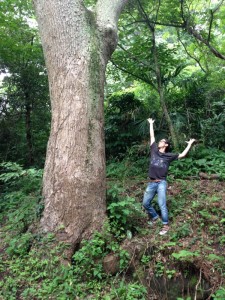裏山にある大きな楠。すごく力強い大木。ここでも踊る予定